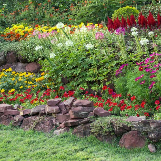 diseno-de-jardines-en-asturias