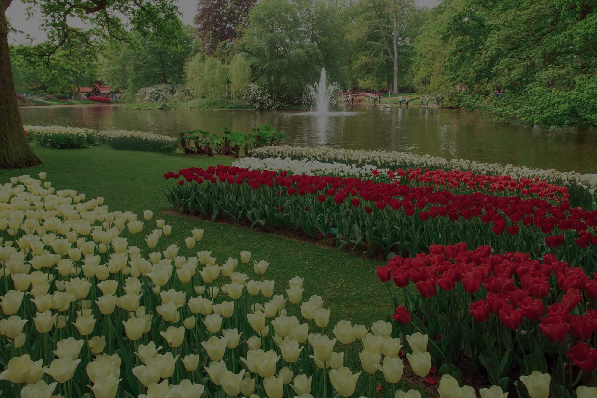 Centro de Jardinería Santvivero, jardinería y paisajismo en Oviedo